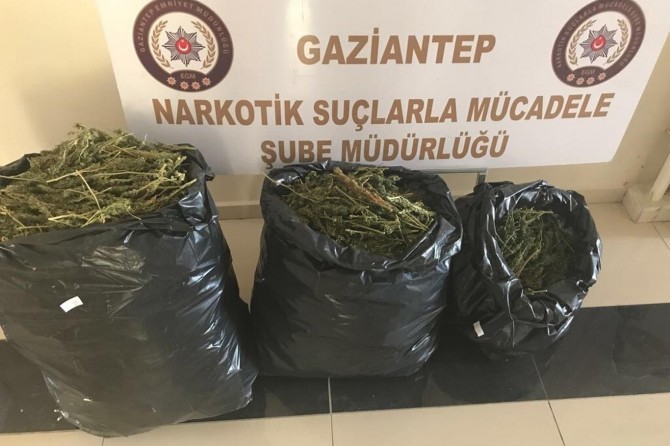 Gaziantep'te uyuşturucu operasyonu: 2 gözaltı