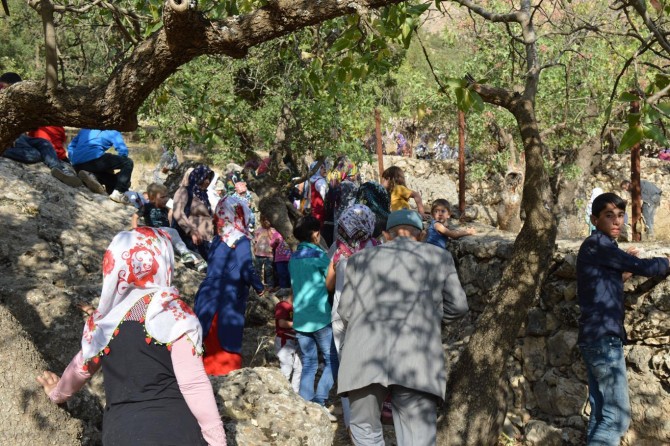 Bapirê Sofi Türbesi'ne ziyaretçi akını