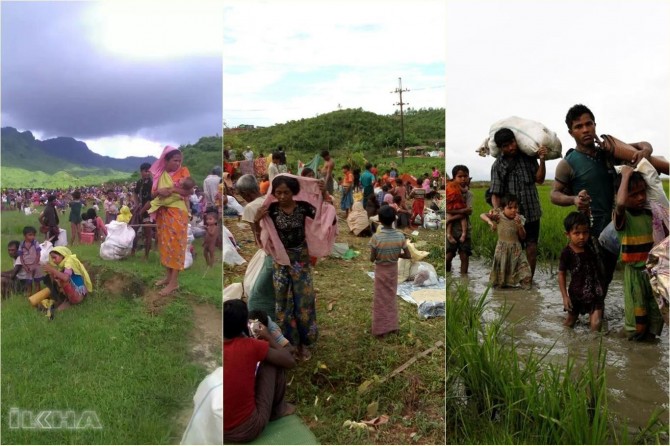 More than 500 thousand Arakanese took refuge in Bangladesh