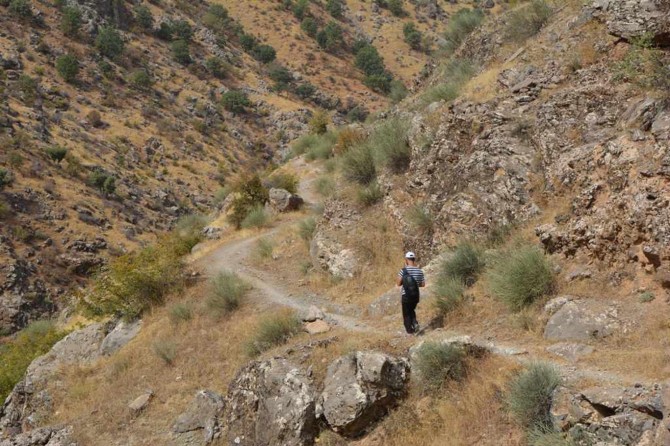 "PKK'nin geçiş güzergahı" gerekçesiyle yapılmayan köy yoluna tepki