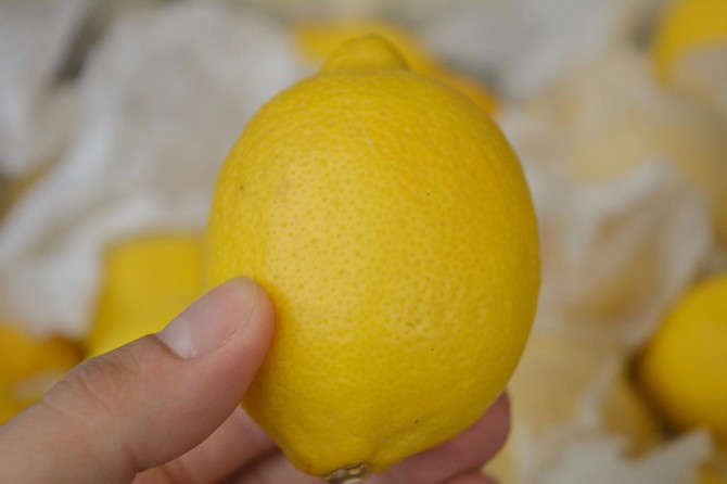 Van'da zam şampiyonu limon oldu