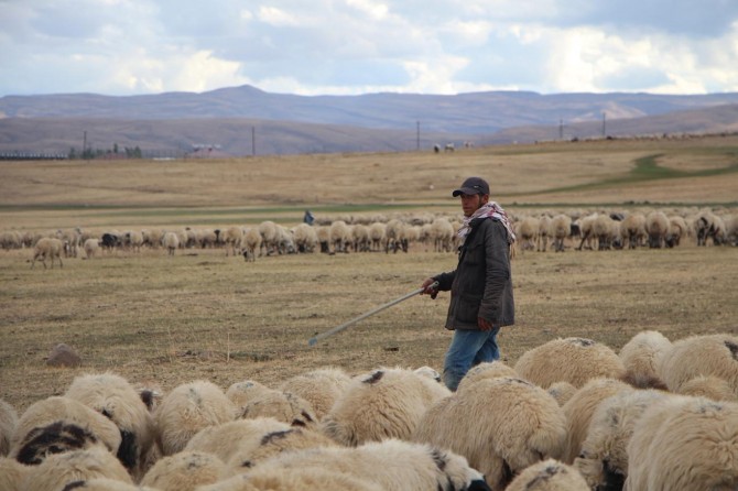 Göçerler dönüş yolunda