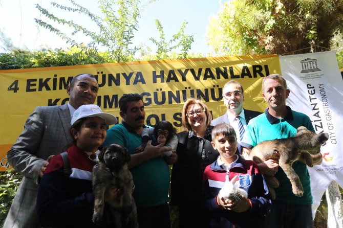 Çocuklardan Cizre’den getirilen yavru aslana ilgi