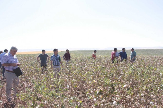 Diyarbakır'da pamuk kontrolörlerine eğitim verildi