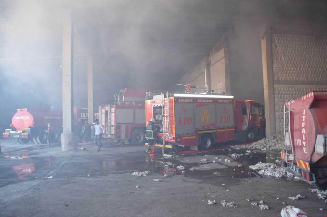 Fabrikada çıkan yangında bin 500 ton pamuk kül oldu