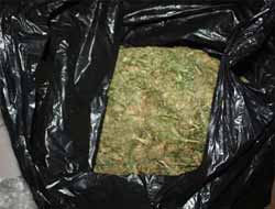 Bismil'de 5 Kilo Esrar Ele Geçirildi