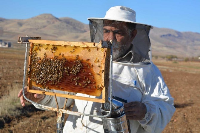 Batman'da arıcıların yüzü güldü