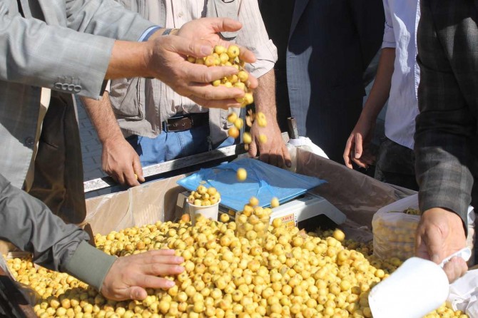 Kışın habercisi alıç tezgahlarda