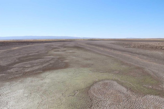 Yüzbinlerce balığın telef olduğu gölet kurudu