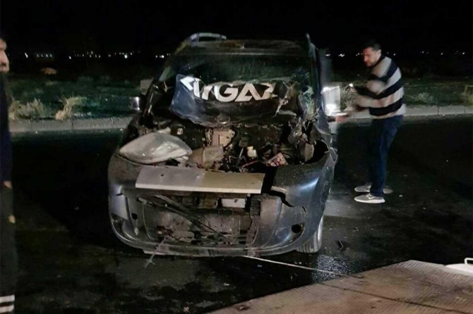 Başıboş eşek kazaya neden oldu: 2 yaralı