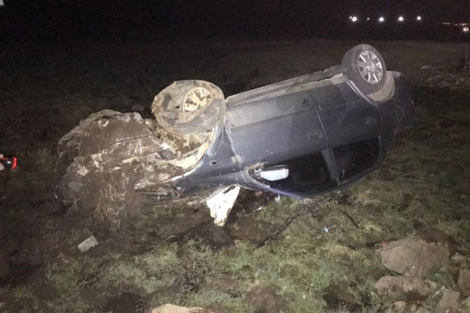 Başıboş atlar kazaya sebep oldu: 4 yaralı