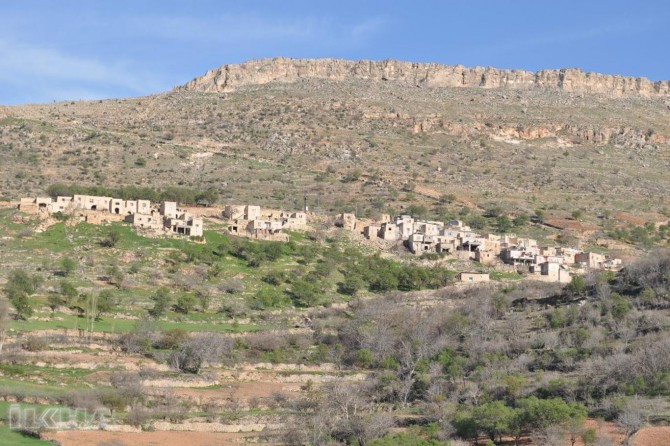 Ölü bulunan eski korucuya ilişkin açıklama