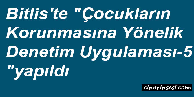 ​Bitlis'te "Çocukların Korunmasına Yönelik Denetim Uygulaması-5" yapıldı