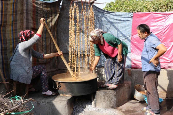 Kevnoşopiya ku salan wê kevin nekiriye didomînin