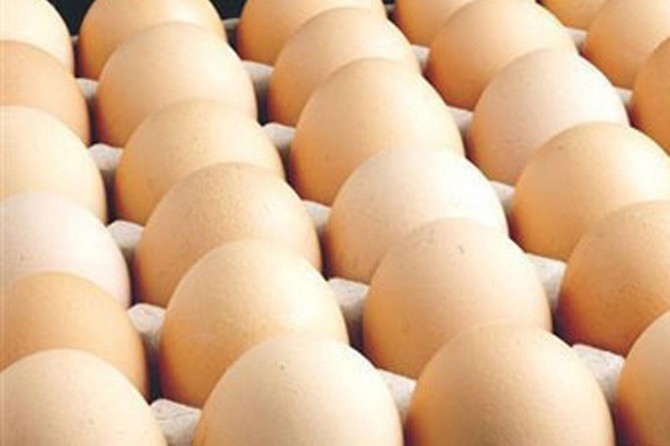 Alman ve Hollanda makamlarından yumurta skandalına bloke