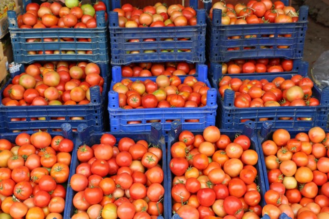 Domatese 'Rusya' zammı