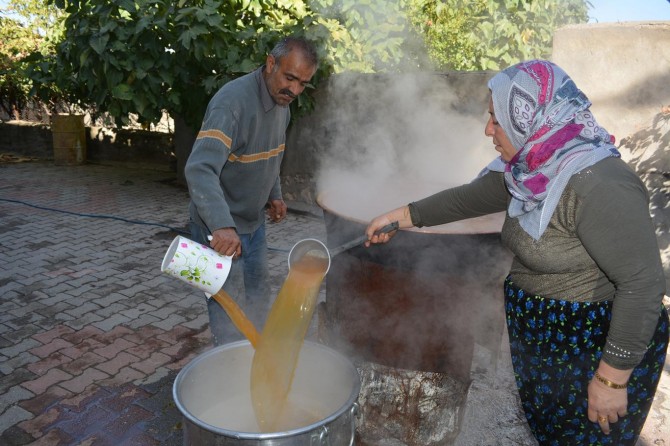 Üzümün pekmeze "tatlı" yolculuğu başladı