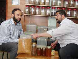 Doğadan Gelen Şifa: Bitkisel İlaçlar