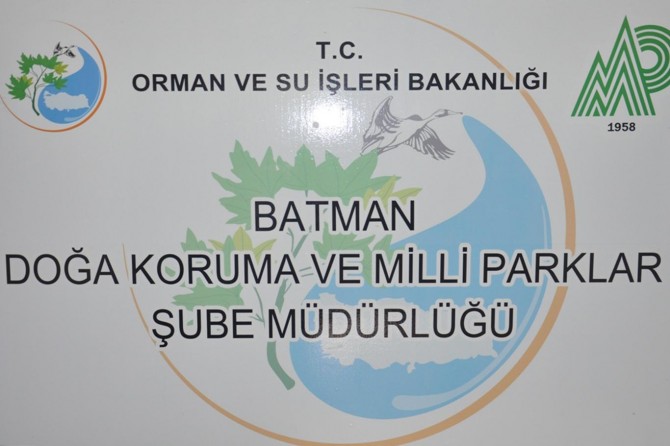 "Köpek dövüştürenlere" ceza