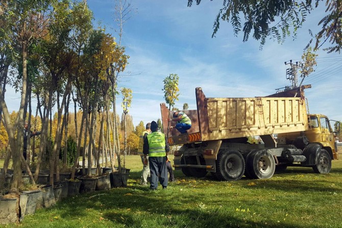 Van'da ağaçlandırma ve aydınlatma çalışmaları devam ediyor