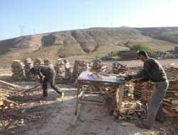 Tatvan'da Kışa "Talaş" Hazırlığı