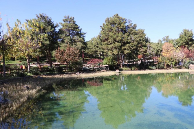 Dülük Tabiat Parkında sonbahar manzarası göz kamaştırıyor