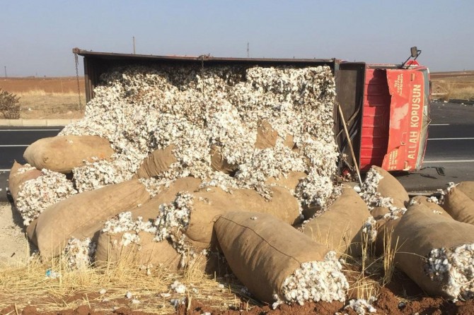 Çınar'da kontrolden çıkan pamuk yüklü kamyonet yan yattı