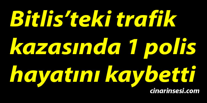 Bitlis’teki trafik kazasında 1 polis hayatını kaybetti