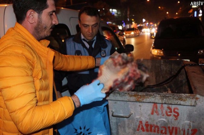 Çöp kutusunda bulunan at başına ilişkin açıklama