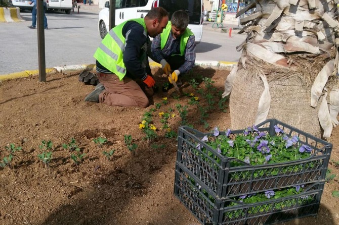 Kızıltepe'de mevsimlik çiçek dikimi başladı