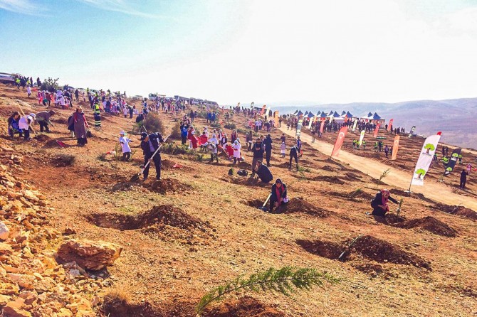 Gaziantep’te 20 bin fidan dikildi