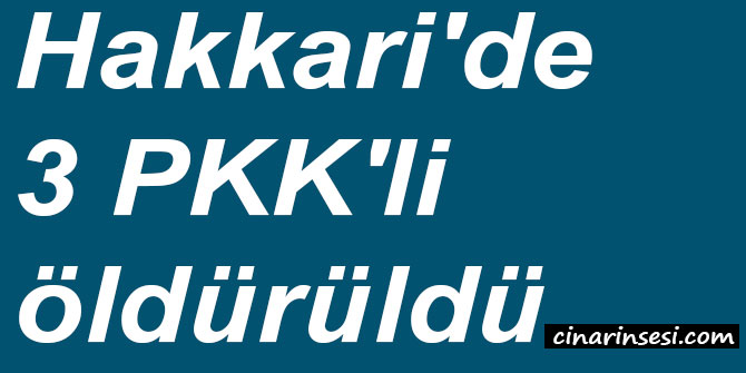 Hakkari'de 3 PKK'li öldürüldü