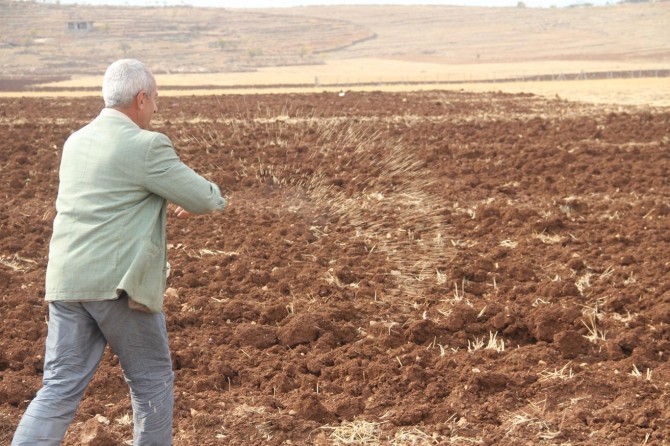 Ekinlerini toprağa atan çiftçiler yağmuru bekliyor