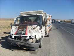 İnek Yüklü Araç İneklere Çarptı