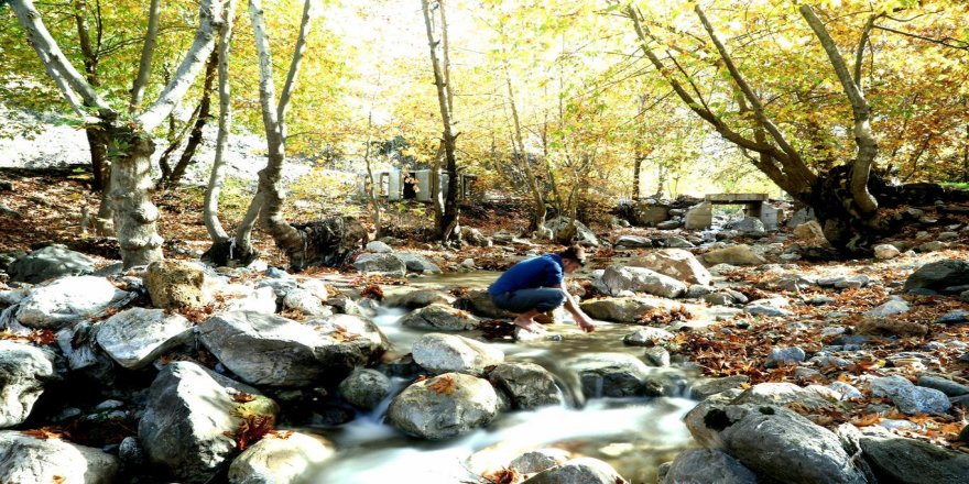 Ji demsala payîzê dîmênên balkêş