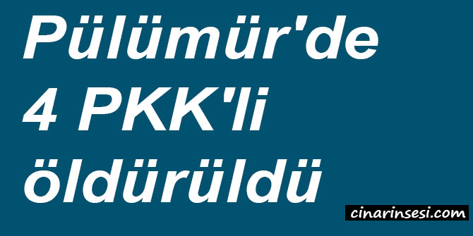 Tunceli Pülümür'de 4 PKK'li öldürüldü