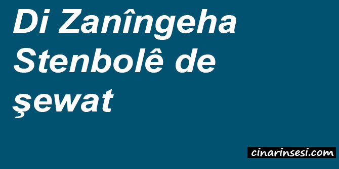 Di Zanîngeha Stenbolê de şewat