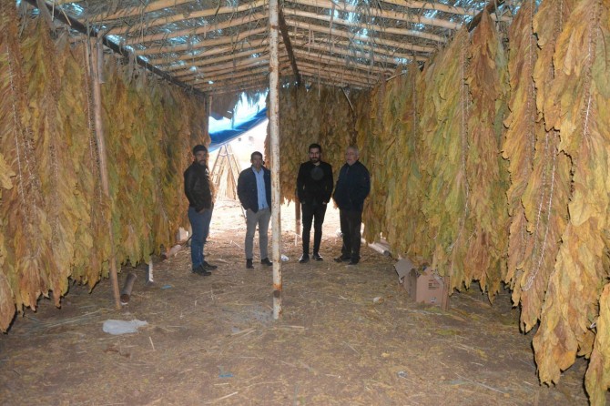 "Tütün yasağı tekrar gözden geçirilsin"