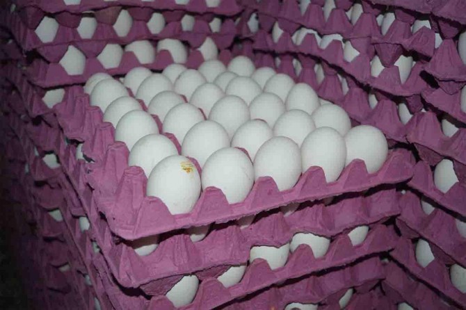 Satıcı ve tüketicilerden yumurta zammına tepki