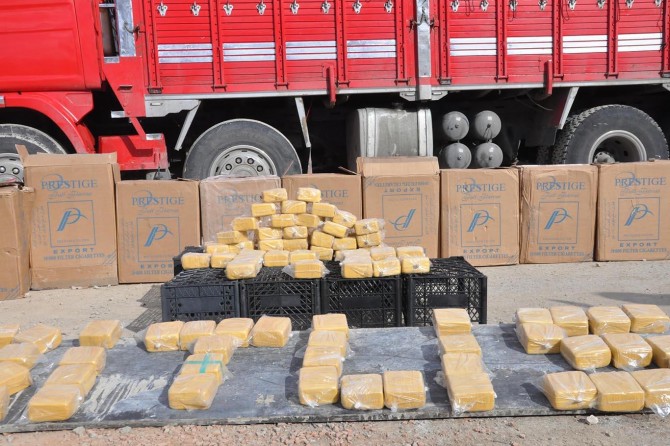 Bitlis’te uyuşturucuyla yapılacak mücadelenin yol haritası belirlendi