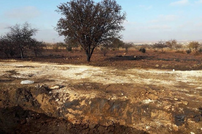 Delinen borudan çıkan petrol ekinlere zarar verdi