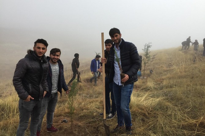 81 ilde 250 bin fidan toprakla buluştu