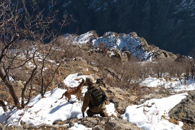Bitlis kırsalında sokağa çıkma yasağı ilan edildi