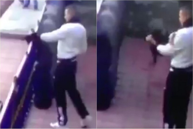 Leşkerê ku li pisîkê îşkence kiribû serbest hat berdan