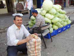 Bitlis Ahlat'ta Patates Hasadı Başladı