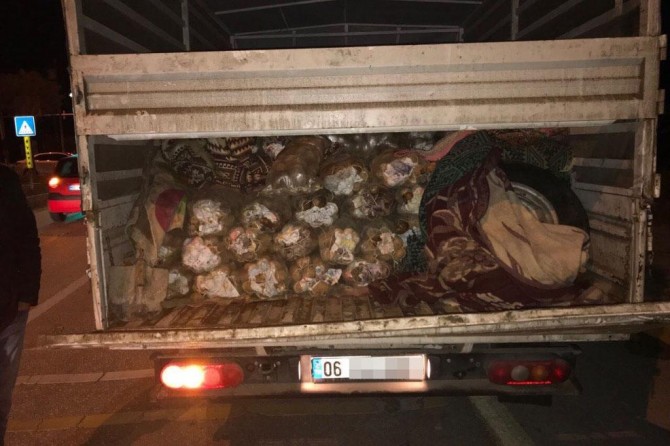 Van'da 17 bin paket kaçak sigara ele geçirildi