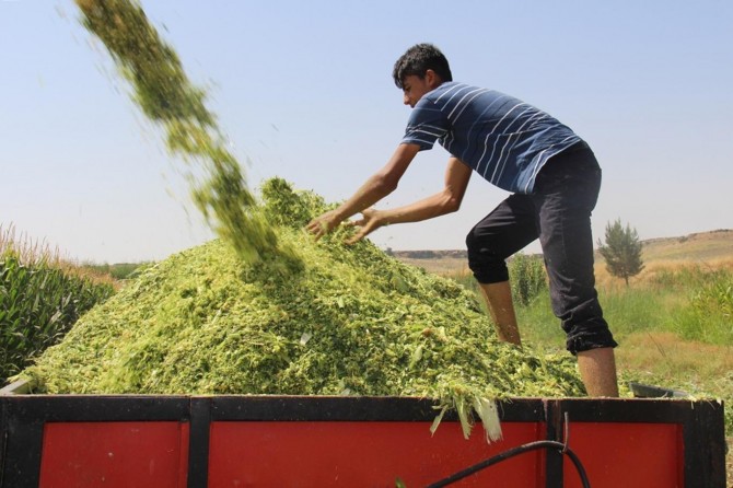 Çiftçi başvuruları 31 Aralık'ta sona erecek