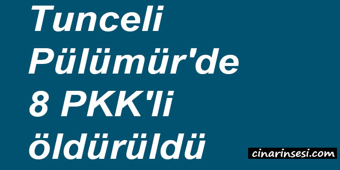 Tunceli Pülümür'de 8 PKK'li öldürüldü