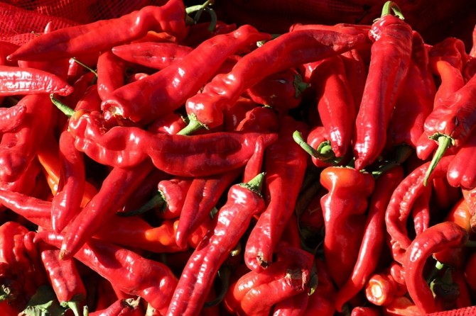 "Kırmızıbiberi dahi ithal ediyoruz"