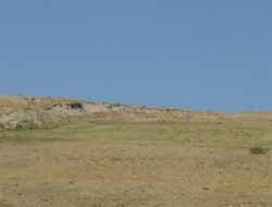 Bitlis'te Bir PKK'lı Öldürüldü